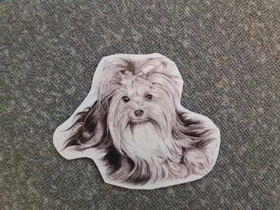 Selle pildi alt-atribuut on tÃ¼hi. Failinimi on a0bd4-20180209_101750.jpg